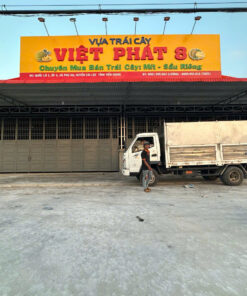 Alternative view of Bảng Hiệu Vựa Mít Việt Phát